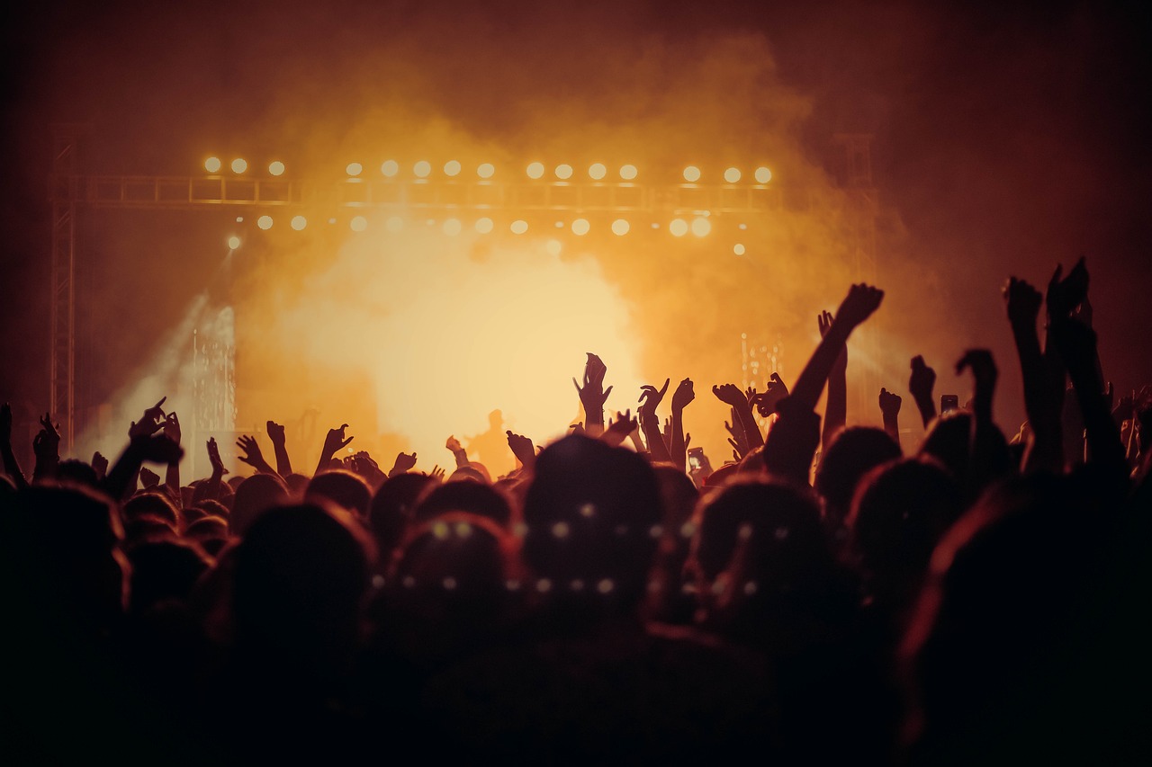 Público animado en concierto